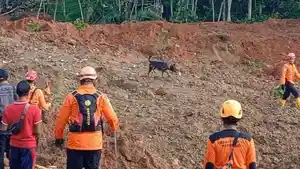 Sembilan-Anjing-Pelacak-Diterjunkan-Cari-Korban-Longsor-Desa-Cibeunying-Cilacap.jpg