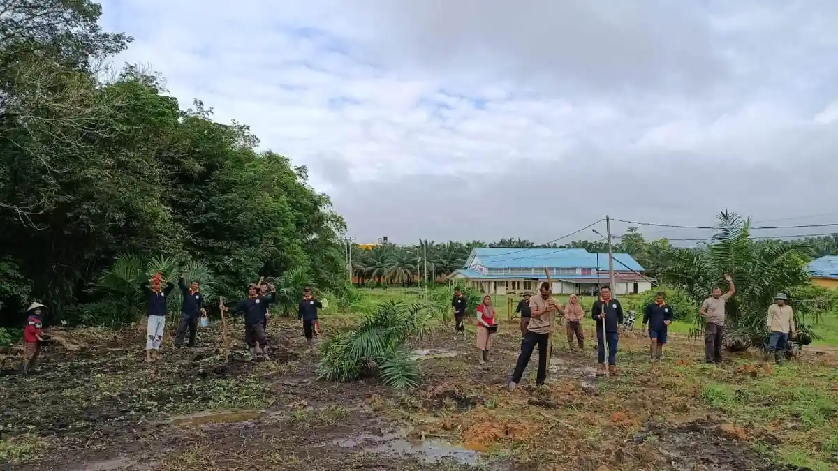 Tanam Jagung, Demplot VI Polsek Mukok Jadi Wujud Nyata Dukungan Program Ketahanan Pangan Pemerintah