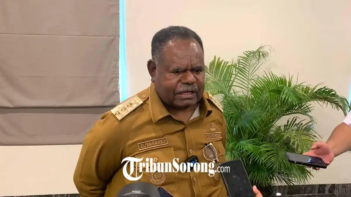 Pemekaran DOB di Papua Barat Daya, Imekko dan Raja Ampat Selatan Kantongi Restu Kemendagri