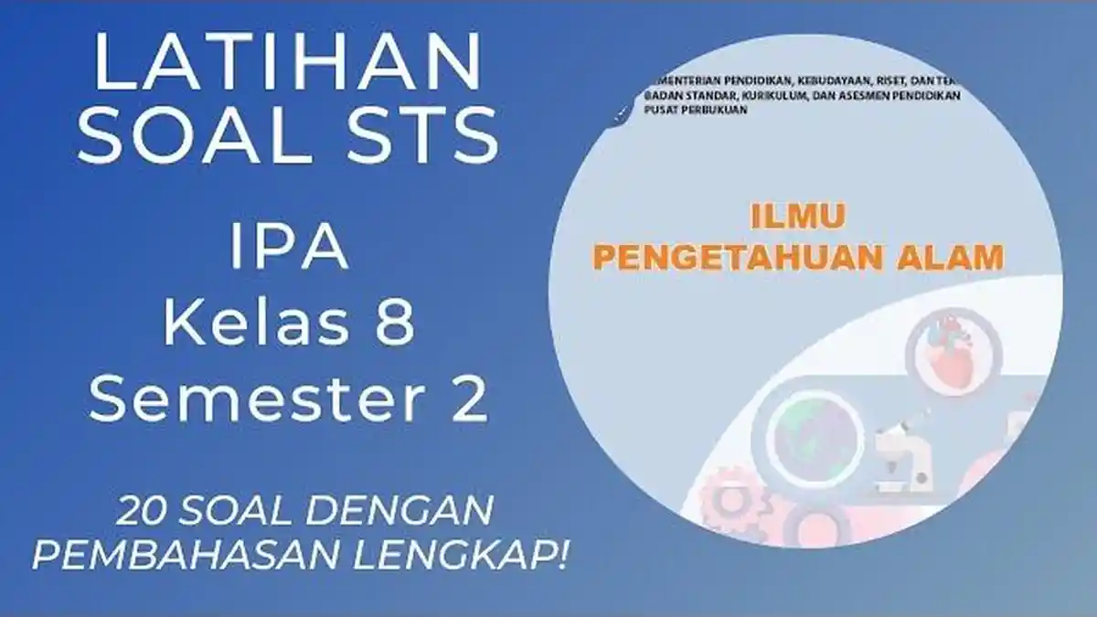 15 Soal & Kunci Jawaban IPA Kelas 8 SMP Semester 2 : Sel Tumbuhan Lebih Kuat Dan Lebih Kaku