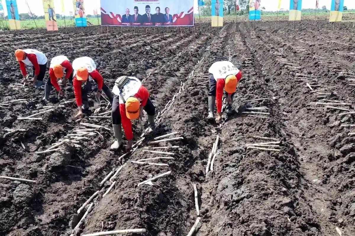 Pemkab Lumajang Siap Pasok Bahan Kebutuhan Pangan untuk Dukung Program Makan Gratis 