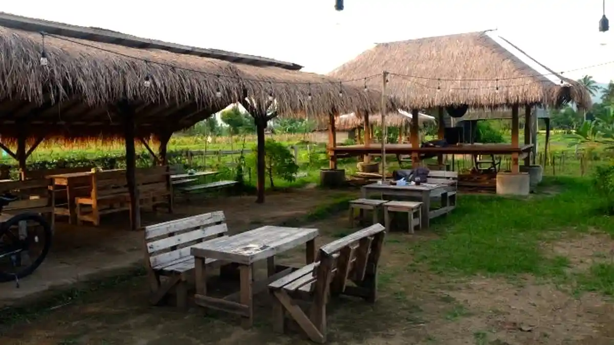 Nongkrong di De Konsensus, Warung Tepi Sawah dengan Nuansa Alam Pedesaan
