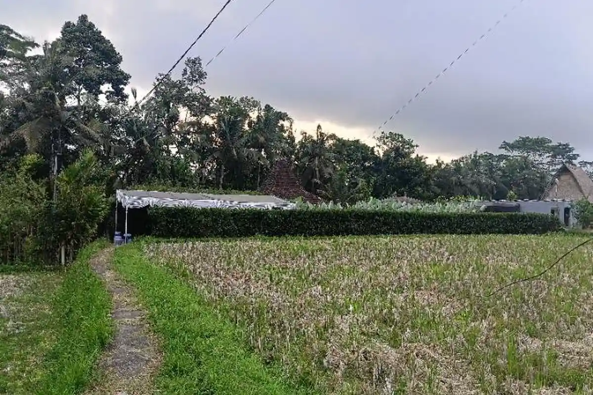 KRONOLOGI LENGKAP: Lab Narkoba Internasional di Gianyar Bali, 1 Keluarga Diamankan