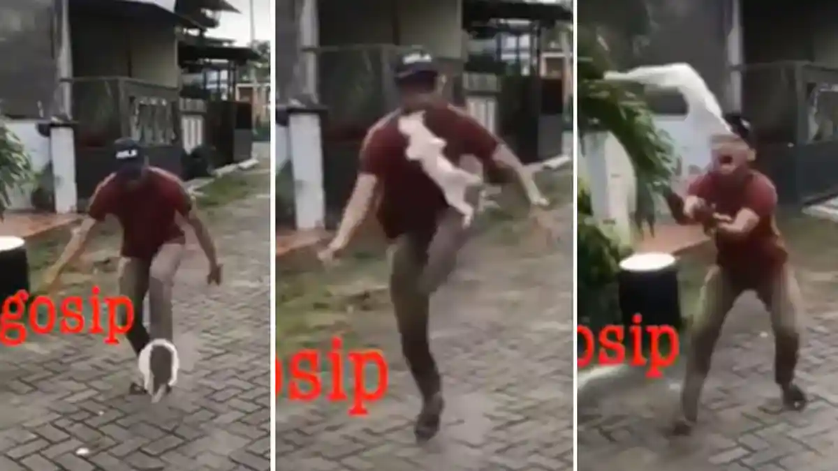 Heboh Video Dua Pria Perlakukan Kucing Layaknya Bola, Netizen Geram!