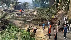 Tim-gabungan-melakukan-evakuasi-terhadap-pohon-tumbang-14.jpg