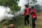 Pengasapan Cegah DBD di Kota Tangerang
