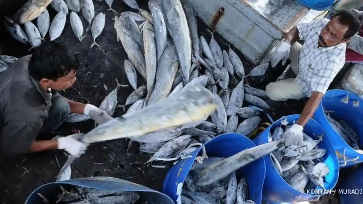 Startup Ini Kenalkan Lelang Ikan Tangkapan Via Online di Android untuk Naikan Daya Saing Nelayan