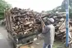 Kayu Bekas Untuk Memasak Pembuatan Tahu