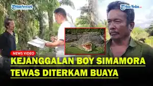 Ayah-Boy-Simamora-Ragu-Anaknya-Tewas-Diterkam-Buaya.jpg