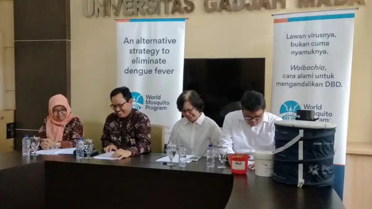 Bekerjasama dengan WMP, Pemkot Yogyakarta Pantau Penyebaran Nyamuk