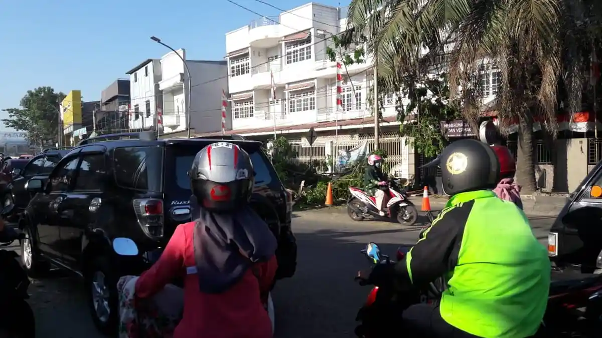 Anggota DPRD Gowa Soal Batang Pohon di Tepi Badan Jalan Ganggu Arus Lalulintas