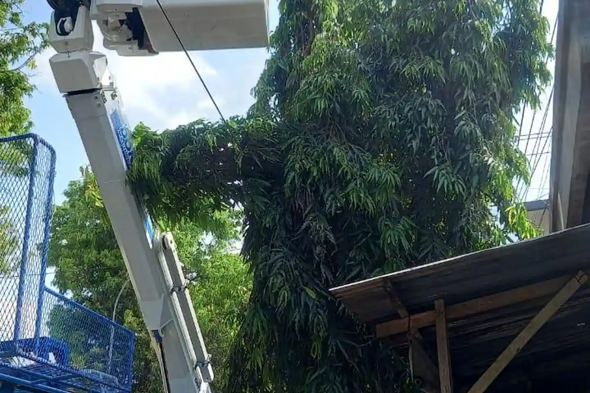 Tim PDKB Lakukan Pemeliharaan Jaringan Tanpa Pemadaman Listrik ‎‎