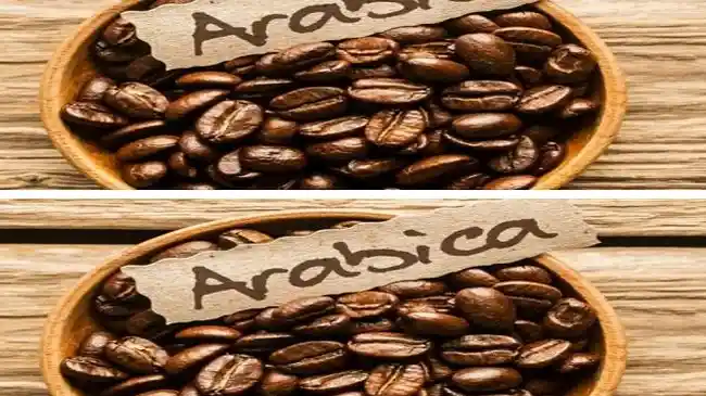 arabica.jpg