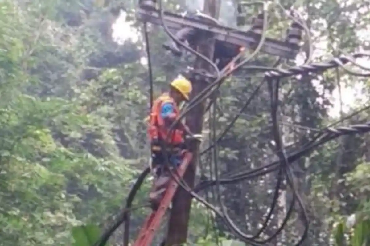 Petugas Listrik di Krui yang Tewas Tersengat Listrik Alami Luka Bakar 63 Persen