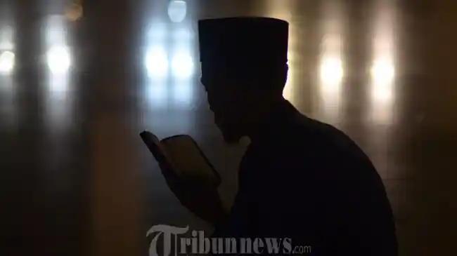 Tribun