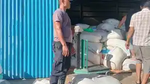 total-jagung-yang-berhasil-disalurkan-telah-mencapai-274182-ton.jpg