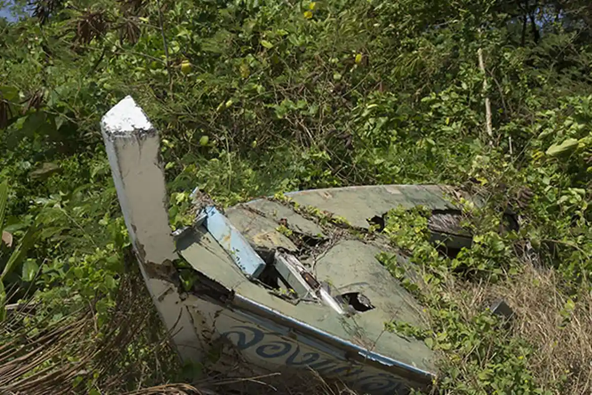 Makan Tikus, Keong sampai Kelapa, Satu Bulan 3 Orang Ini Bertahan Hidup di Pulau tak Berpenghuni