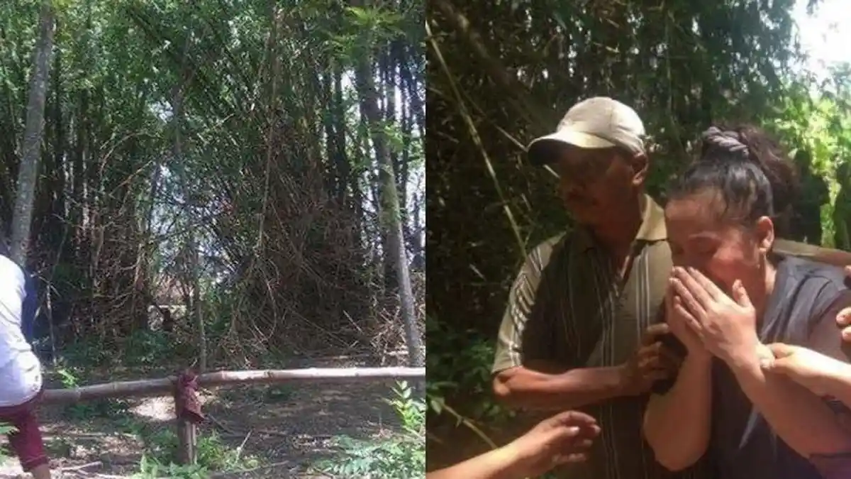 Detik-detik Anak Hilang di Kebun Bambu, Keluarga Mengira Ulah Sosok Gaib