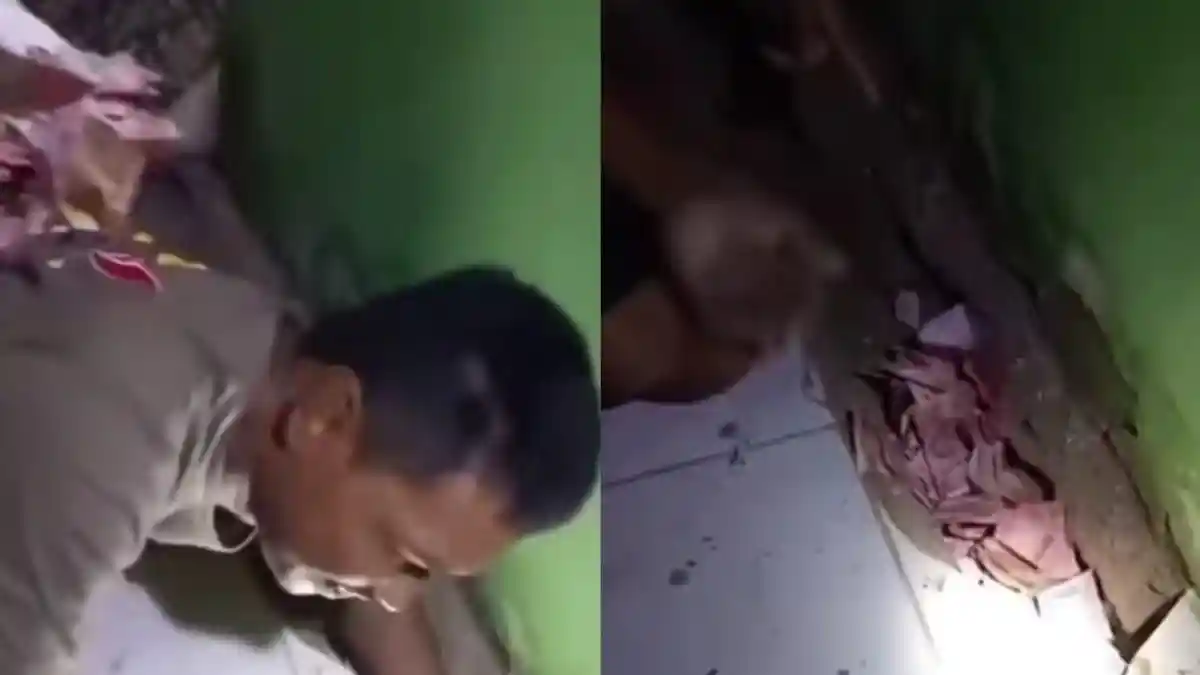 Viral Petani Sulsel Temukan Uang Rp 22 Juta di Bawah Lantai Rumah, Rupanya Dibawa Kabur Tikus