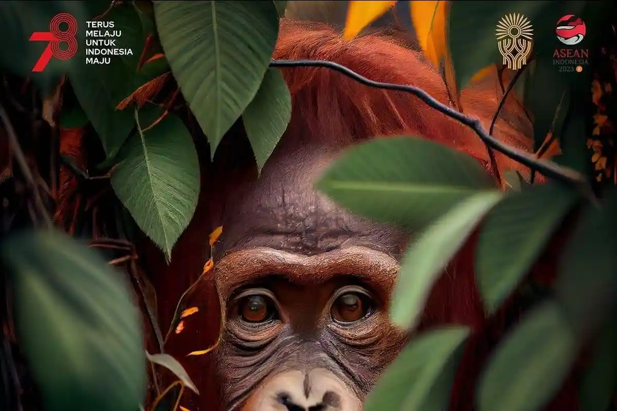 Rencana Groundbreaking Pulau Suaka di IKN Nusantara, Lokasinya di Pemaluan Sepaku