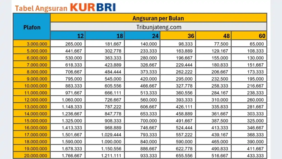 Pinjaman BRI Rp 50 Juta, Cicilan KUR Rp 1,6 Juta Tenor 3 Tahun