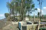 Abrasi Pantai Sodong Adipala Cilacap, Dulu Ramai Saat Liburan Kini Sepi Pengunjung