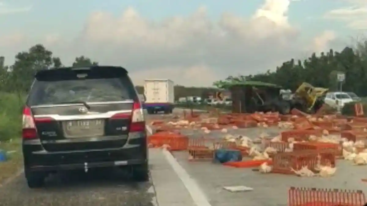Identitas Korban Kecelakaan Maut Truk Pengangkut Ayam Versus Bus Primajasa di Tol Cipali Subang