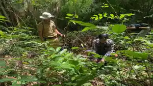 penanaman-pohon-dalam-rangka-peringati-hari-gerakan-satu-juta-pohon.jpg
