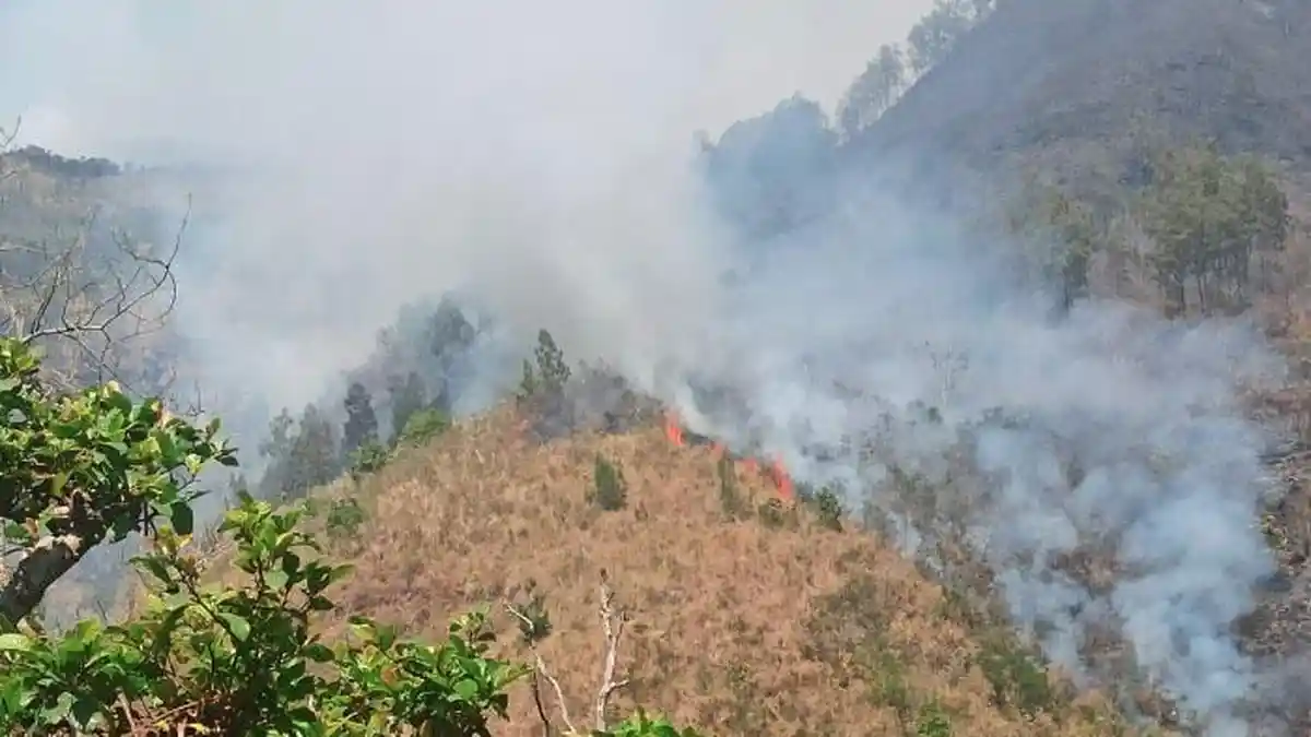Karhutla Gunung Arjuno-Welirang Meluas, 261 Hektar Hangus