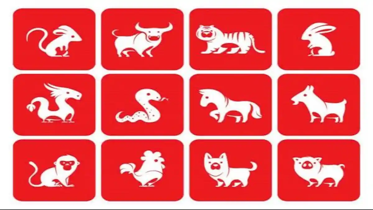 Ramalan Shio Jumat 3 Juni 2022, Energi Shio Macan Positif, Shio Ular Butuh Resolusi