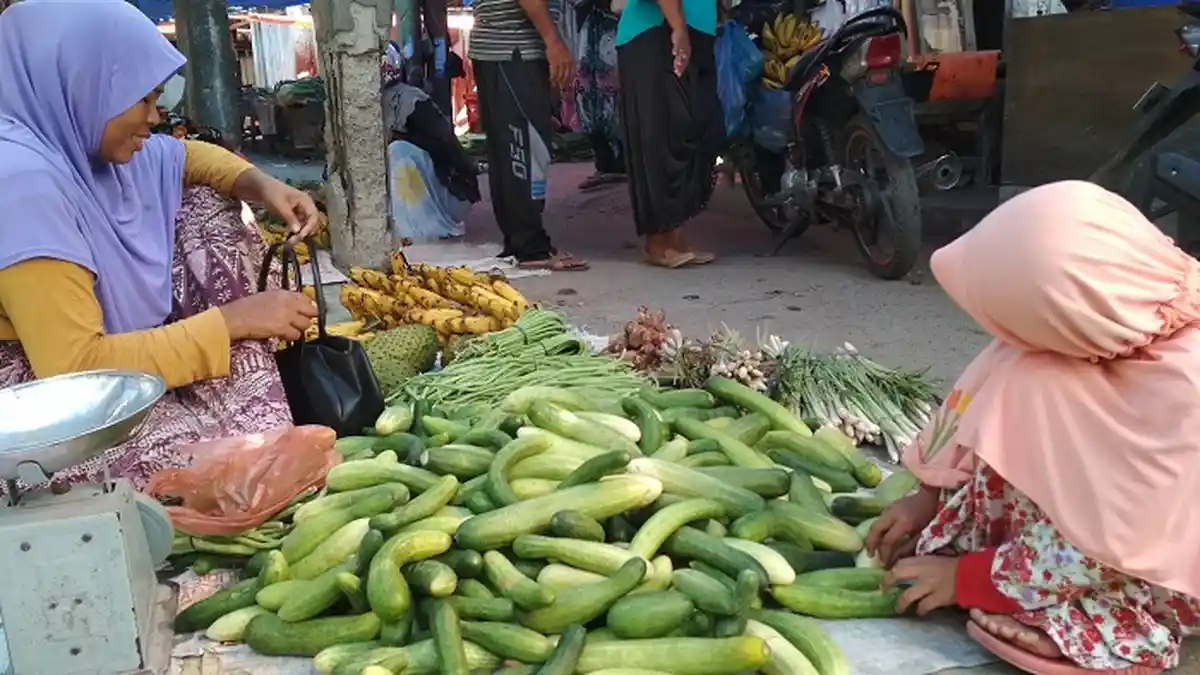 Permintaan Timun di Pidie Meningkat, Harga Naik Rp 1.000 per Kg