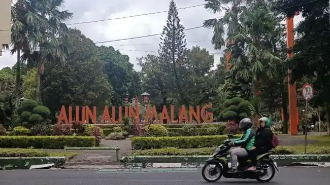 Tribun