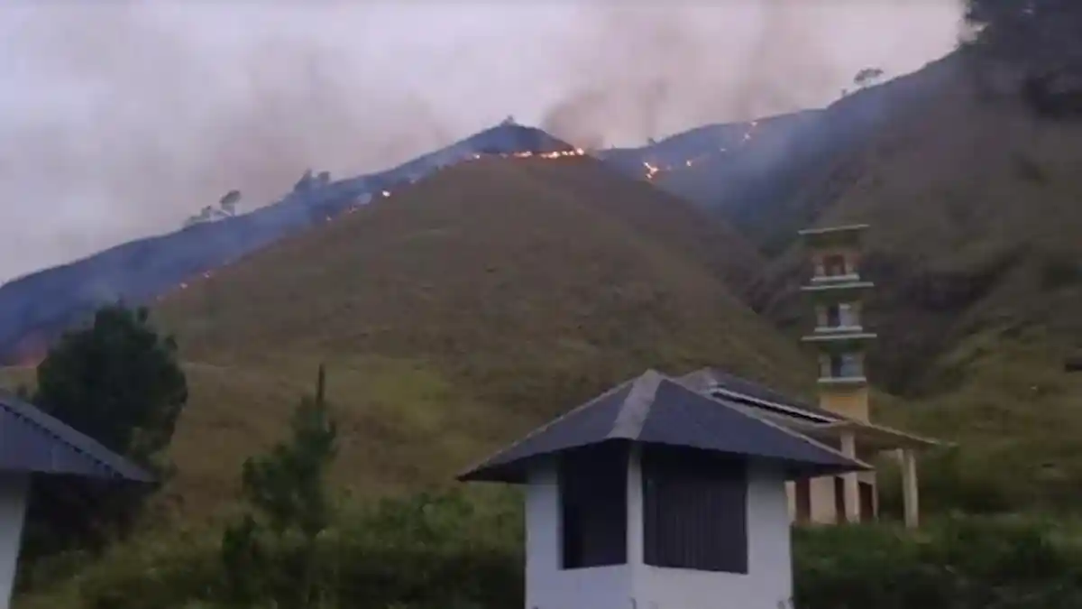 Wisata Rumah Tanggal Dairi Nyaris Terbakar saat Karhutla di Silalahi, Kini Api Sudah Padam