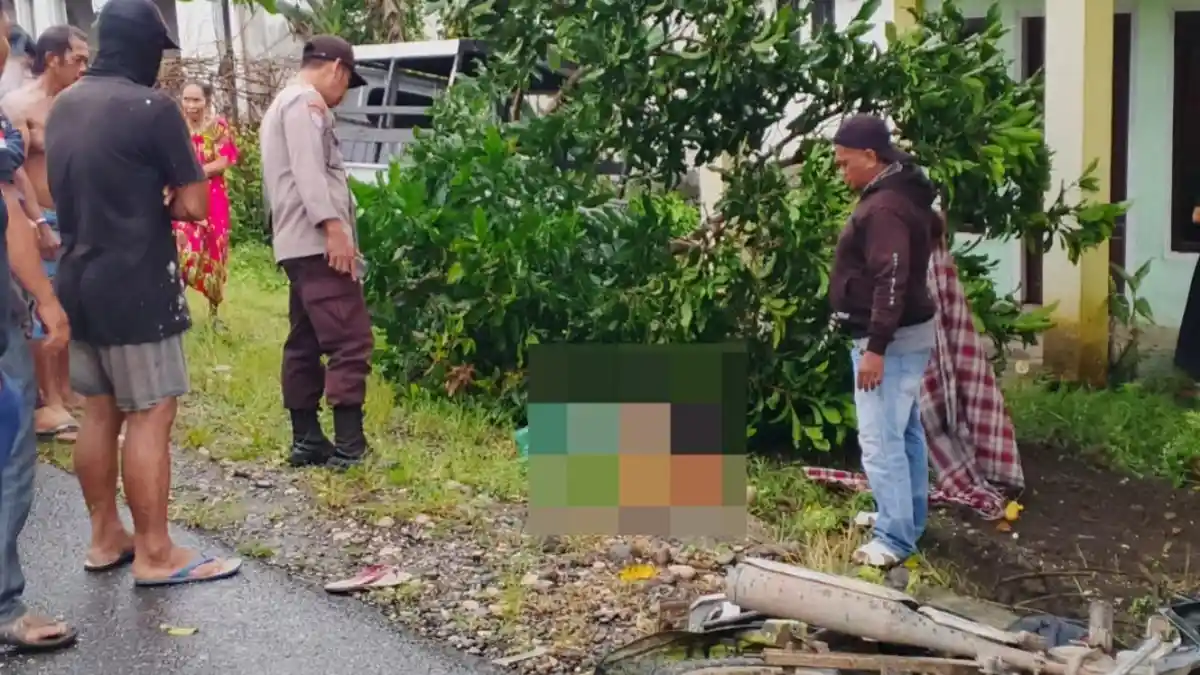 Kecelakaan Maut di Batui Banggai Sulteng, Pemotor Tewas usai Tabrakan dengan Pikap