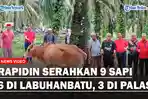 YOUTUBE-COVER-RAPIDIN-SIMBOLON-BERKURBAN-9-EKOR-SAPI.jpg
