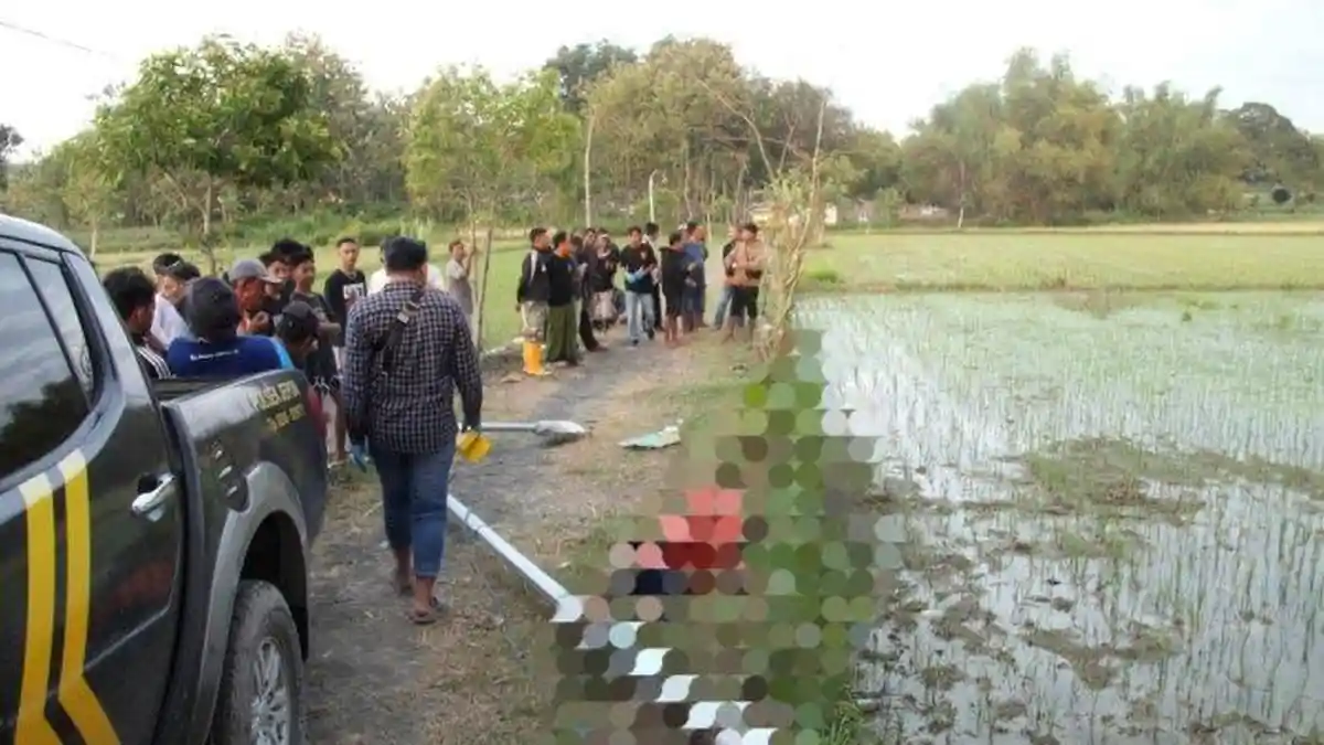 Perbaiki Tiang Lampu Melintang di Jalan, 3 Pemanen Padi di Blora Tersetrum Listrik, 1 Orang Tewas