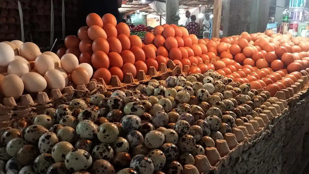 Usai Lebaran, Harga Telur Ayam Naik di Kota Kupang