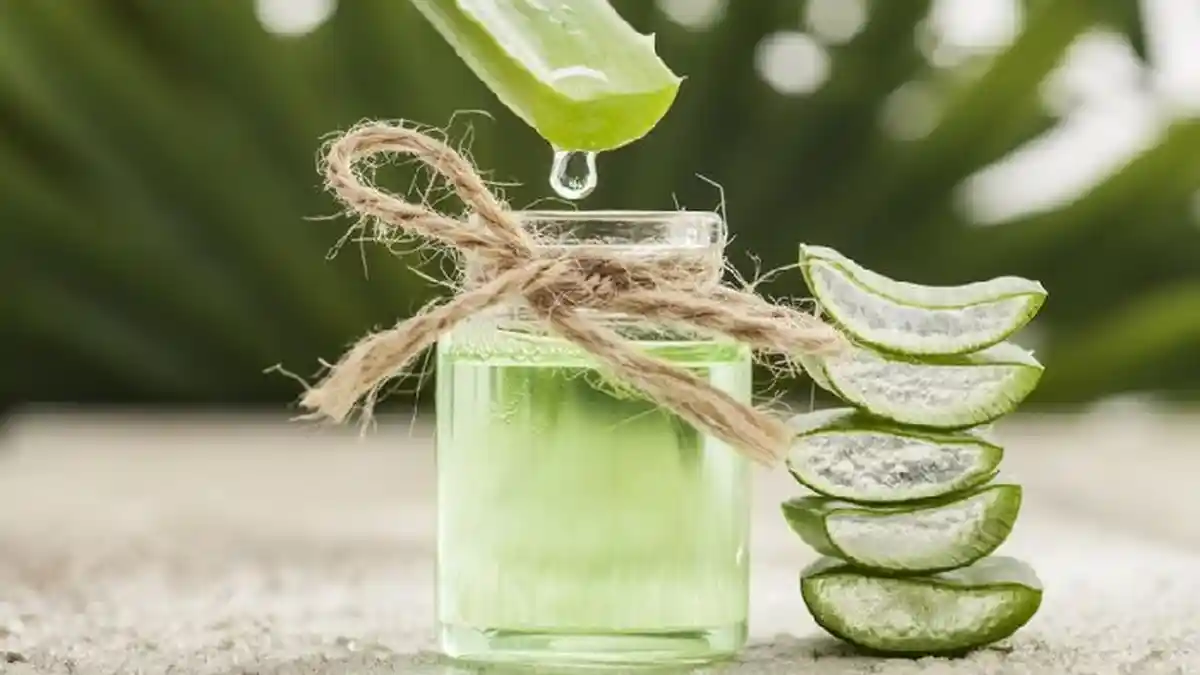 Rutin MInum Jus Lidah Buaya Pagi Hari, Hari 4 Kulit Lebih Lembab, Ini Yang Terjadi Bisa Hari Ke 7