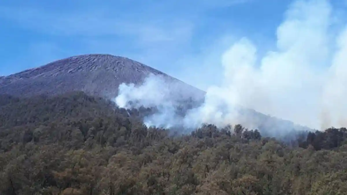 Wakapolda Jatim Menemukan Titik Api di Gunung Semeru dari Udara