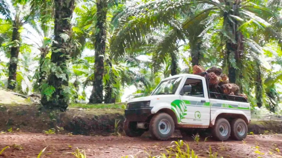Kurangi Emisi Karbon, Sektor Perkebunan Kelapa Sawit Mulai Gunakan Kendaraan Listrik 
