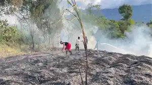 Petugas-pemadam-kebakaran-melakukan-proses-pemadaman-api.jpg