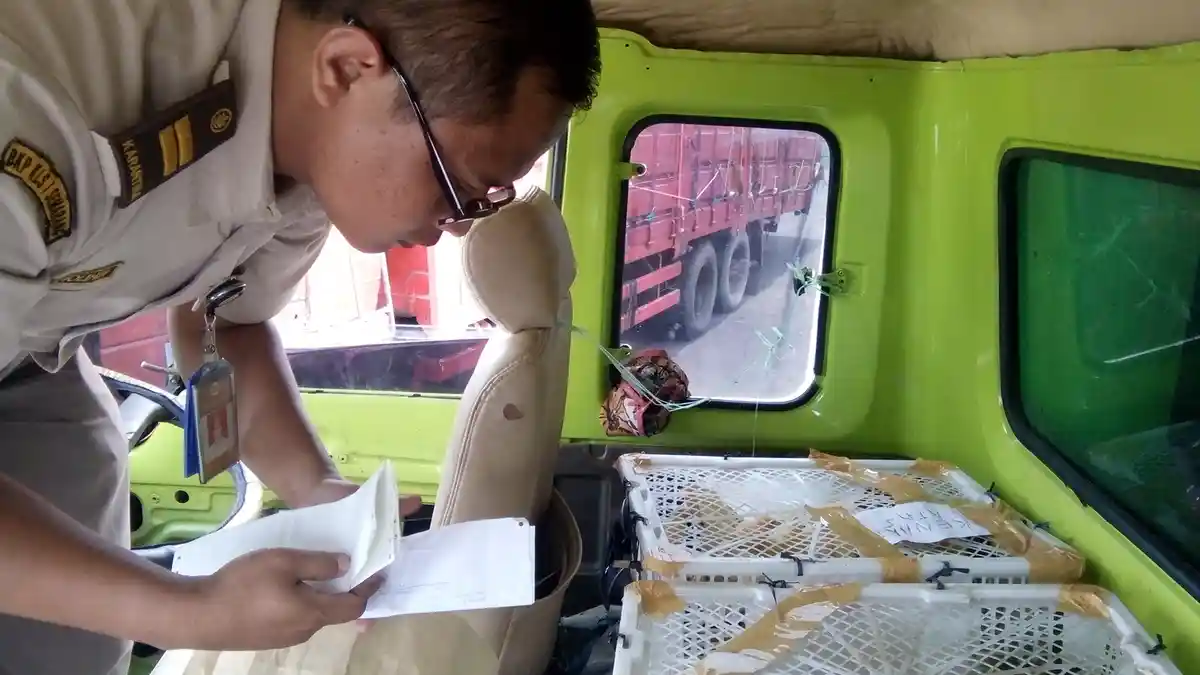 Petugas Balai Karantina Pertanian Cek Komoditi Truk di Pelabuhan Kendal