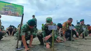 mangrove-di-pasi-asahan.jpg