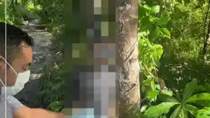 Calon-pengantin-tewas-tragis-pada-hari-pernikahan-di-Kabupaten-Wakatobi-Sulawesi-Tenggara.jpg