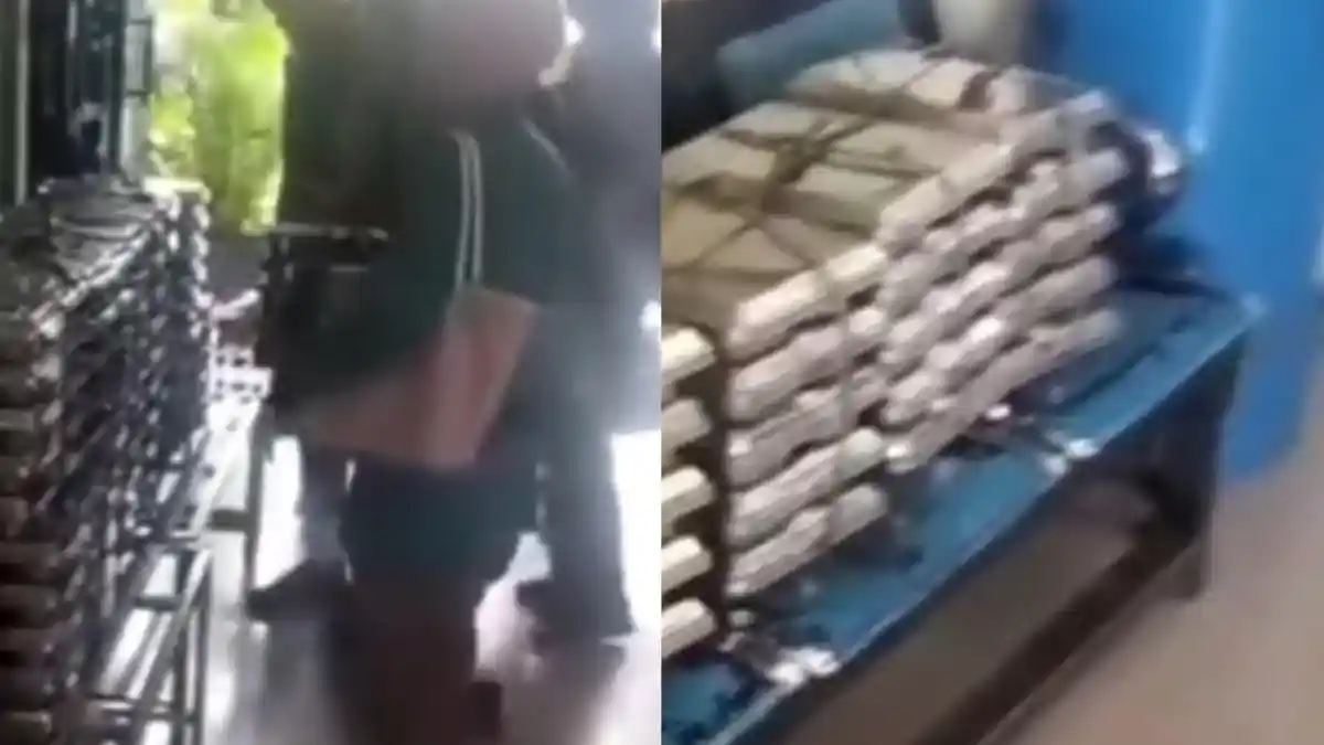 VIRAL, Makan Bergizi Gratis di SMPN 3 Medan Berbau, Begini Klarifikasi Sekolah