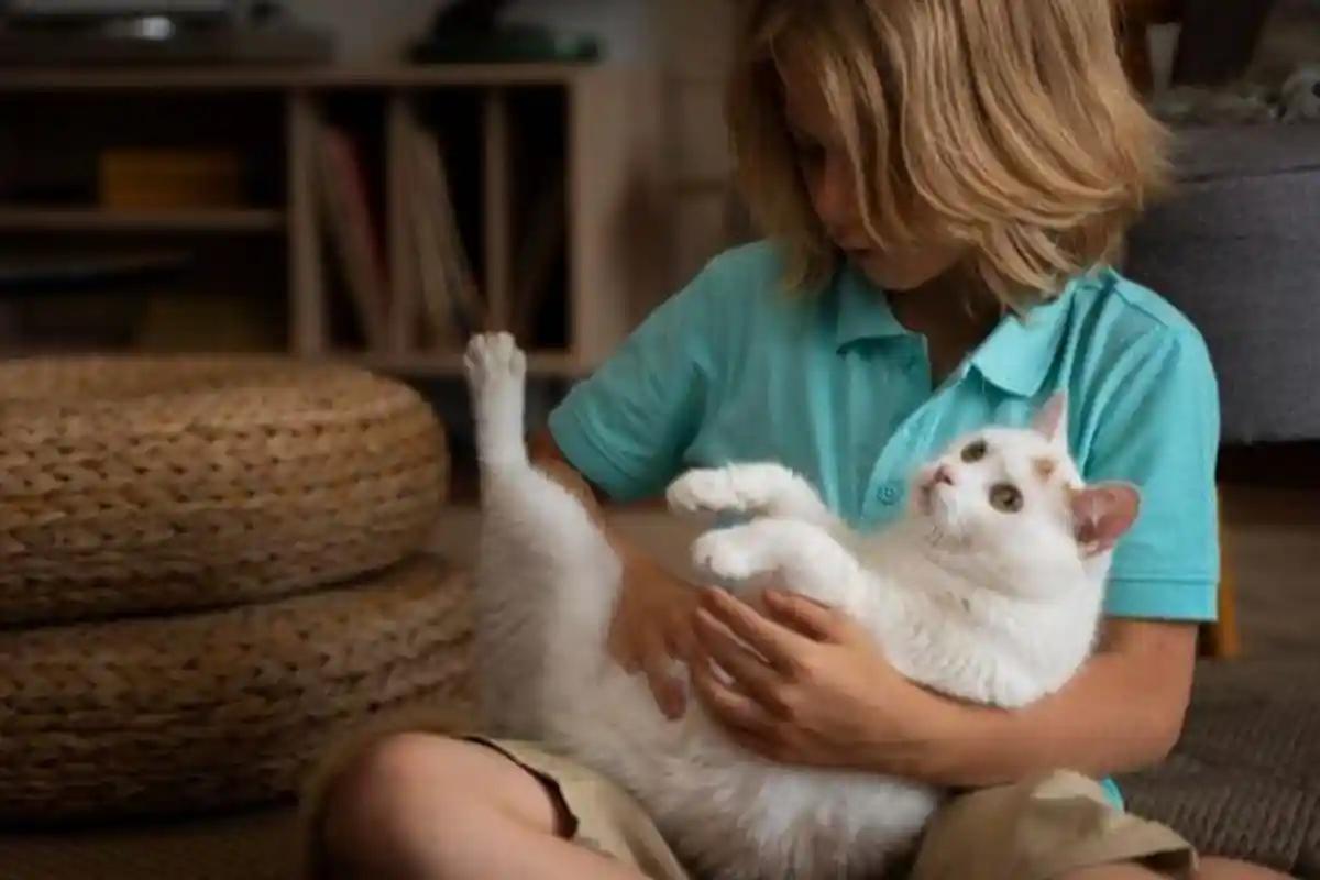 Memelihara Kucing Bisa Mengubah Otak Manusia, Begini Penjelasan Ilmiahnya