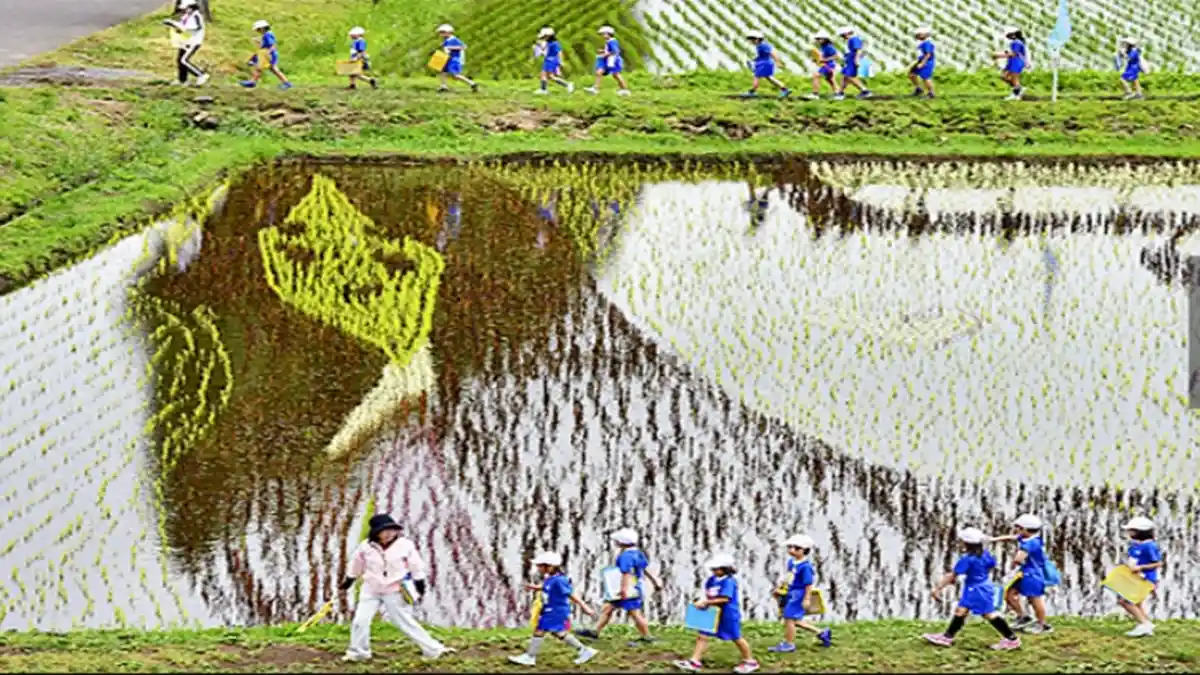 Dewi Bulan Pun Datang ke Persawahan Fukushima Jepang