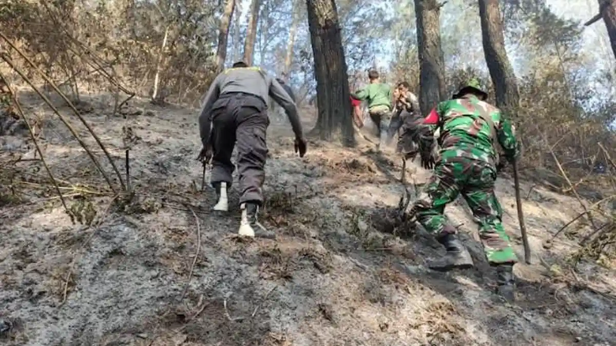 KEBAKARAN Hutan dan Lahan di Kecamatan Muara Sebabkan Satu Warga Meninggal Dunia