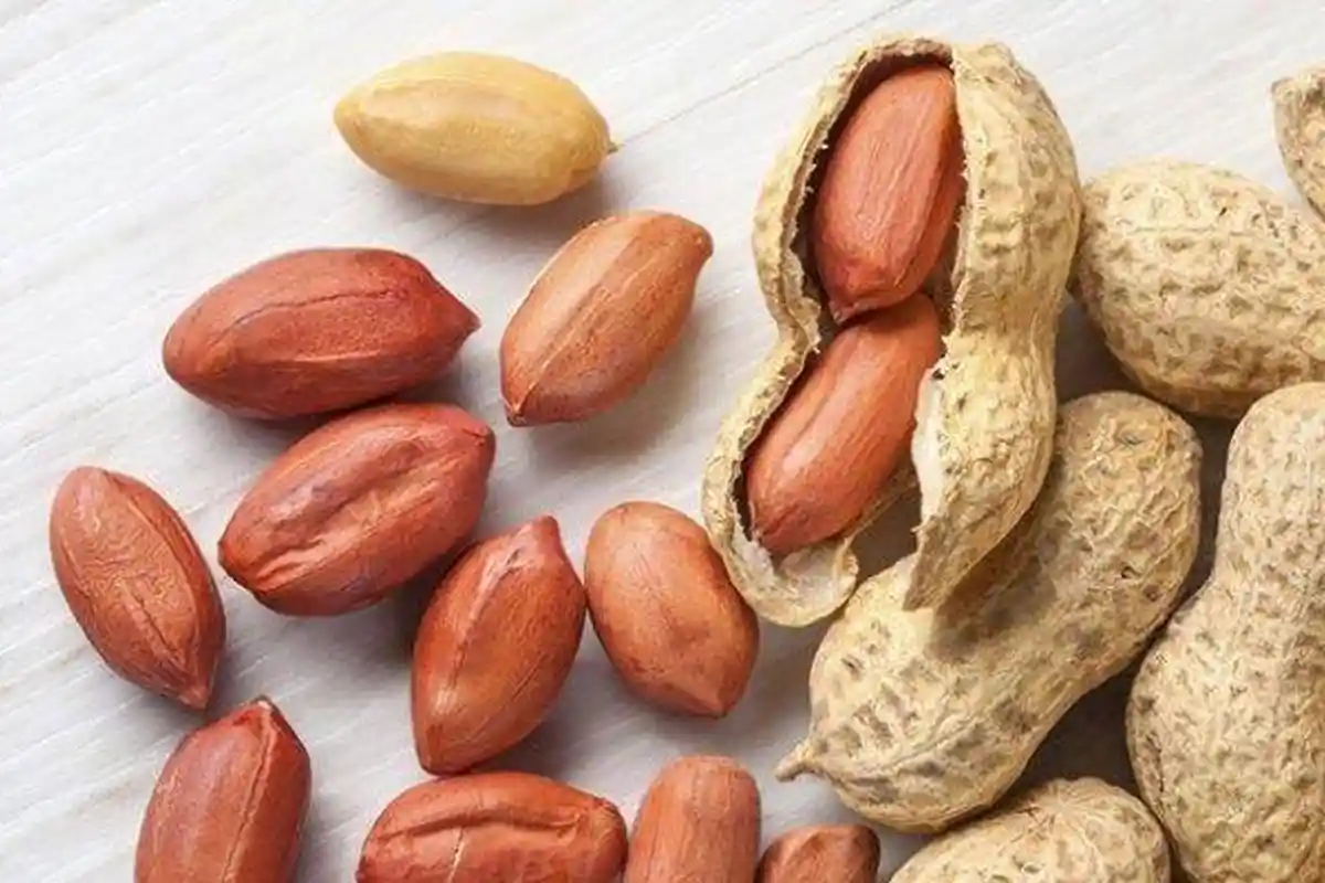 Ini Manfaat Kacang untuk Kesehatan Jantung, Penyakit yang Sumbang Kematian Tertinggi di Indonesia