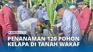 Tanam-pohon-2333334.jpg